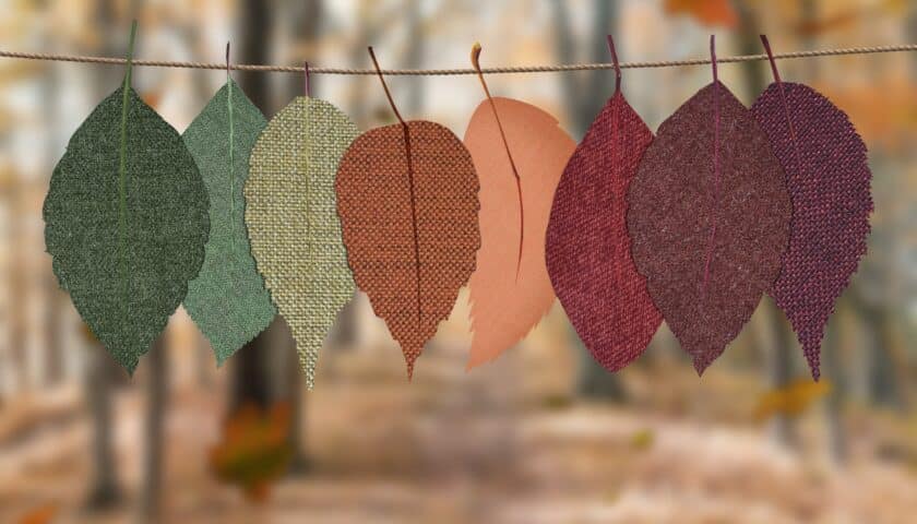 Swoop’s top ten franchising trends for 2024